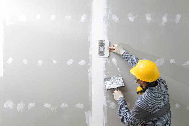 Best Basement Mold Removal  in Mooreland, OK