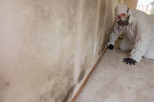 Best Emergency Mold Remediation  in Mooreland, OK